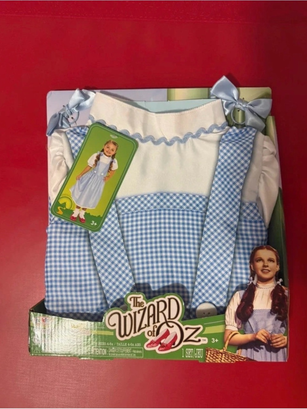 Dorothy Blue Gingham Kids Costume